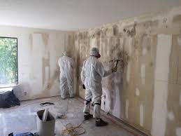 Why You Should Choose Our Mold Remediation Services in Yoe, PA